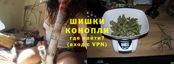 спайс Каменка