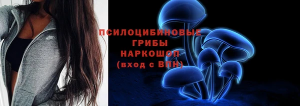 спайс Каменка