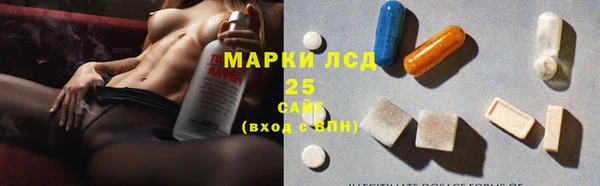 спайс Каменка