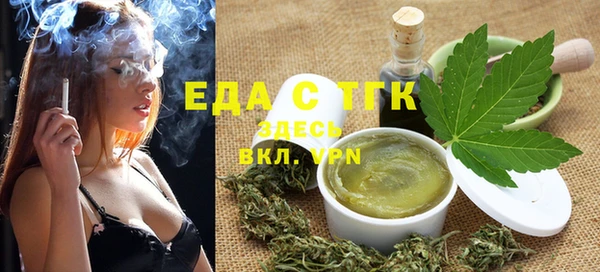 спайс Каменка
