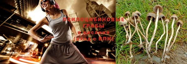 mdpv Каменск-Шахтинский