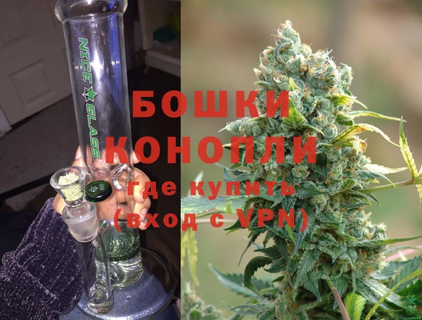 ГАЛЛЮЦИНОГЕННЫЕ ГРИБЫ Карталы