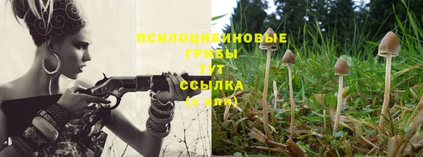 a pvp Касимов
