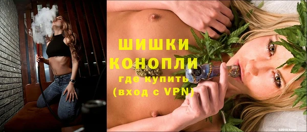 ГАЛЛЮЦИНОГЕННЫЕ ГРИБЫ Карталы