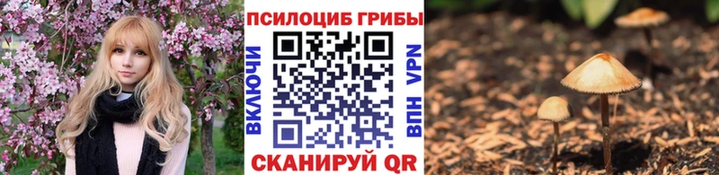 Псилоцибиновые грибы Magic Shrooms  Купить закладки  Шагонар 